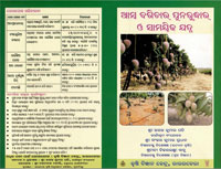 Leaflets