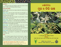 Leaflets