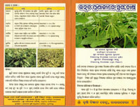 Leaflets